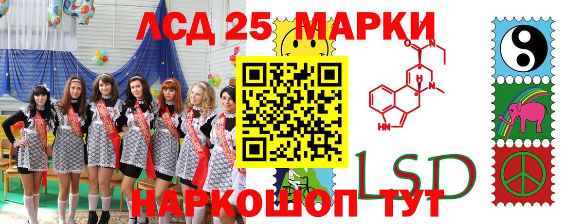 Галлюциногенные грибы Калининград