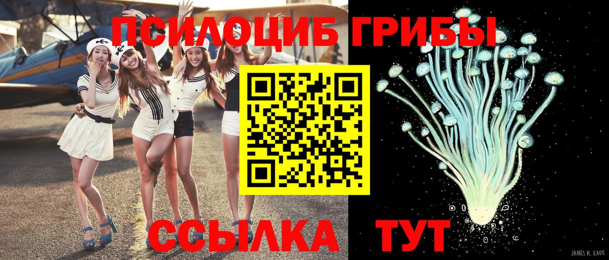 наркошоп  Вход с VPN  Калининград  Галлюциногенные грибы Psilocybine cubensis 